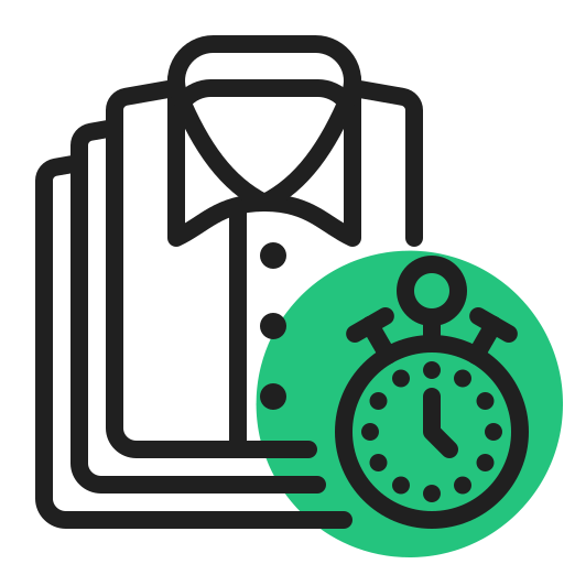 Express cleaning icon